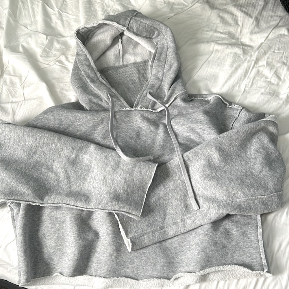 Alo Cropped Turtleneck Hoodie